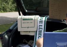 Bild-1