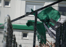 Bild-18-1