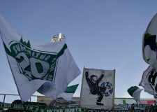 Bild-11
