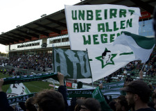 Bild-13
