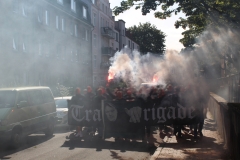 Bild-1.1