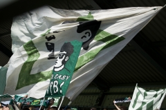 Bild-11