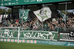 Bild-12