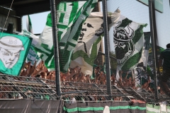 Bild-20