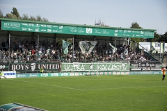 Bild-6