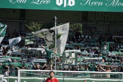 Bild-7