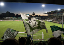 Bild-1