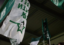 Bild-12