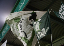 Bild-9
