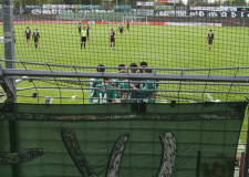 Bild-13