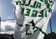 Bild-3