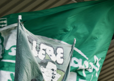Bild-7