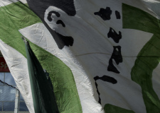 Bild-8