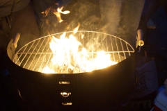 Bild-1