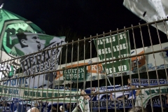 Bild-12