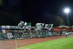 Bild-17