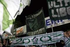 Bild-19