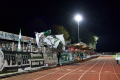 Bild-2