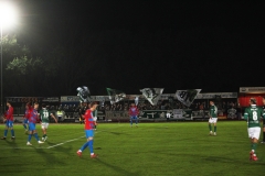 Bild-3