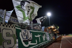 Bild-4