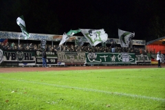 Bild-5