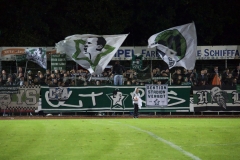 Bild-7