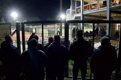 Bild-8