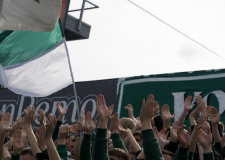 Bild-14