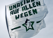 Bild-19