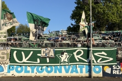 Bild-10