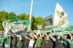 Bild-15