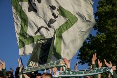 Bild-17
