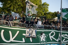 Bild-18