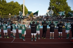 Bild-20