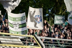 Bild-4