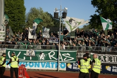 Bild-5