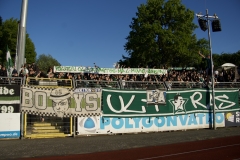 Bild-7