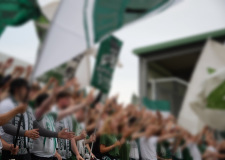 Bild-12