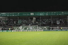 Bild-1