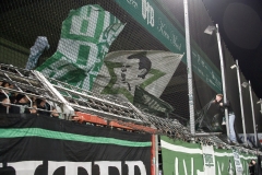 Bild-11