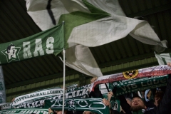 Bild-15