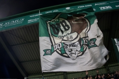 Bild-16