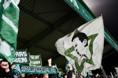 Bild-8