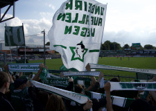 Bild-7