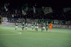 Bild-1