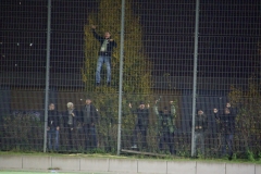 Bild-13