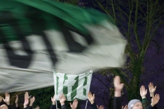 Bild-17