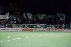 Bild-2