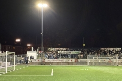 Bild-3