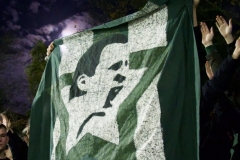 Bild-7
